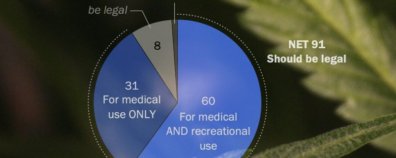 Pew Survey on Marijuana Legalization