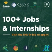 MSU Cannabis 2021 Internships