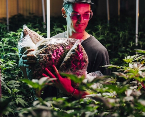 DJ GRiZ with Astro Hippie Cannabis