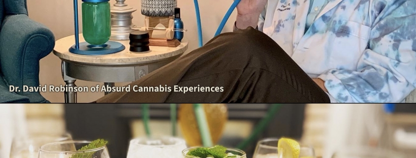 Dr David Robinson of Absurd Cannabis Experiences
