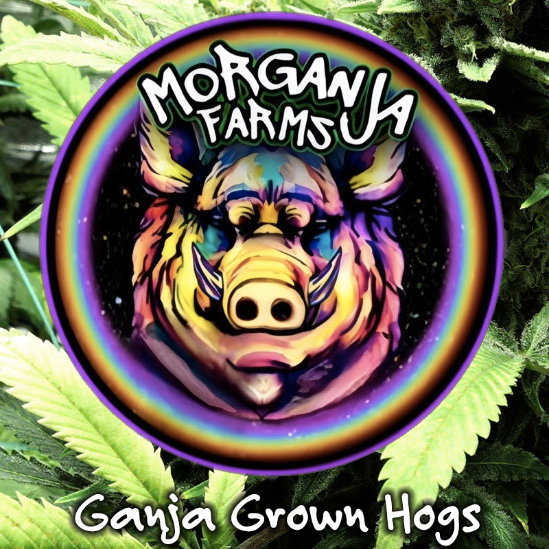 Morganja Farms - Ganja Grown Hogs