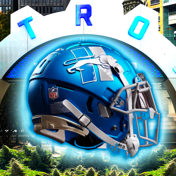 Detroit Lions Detroit Weed Detroit Fun