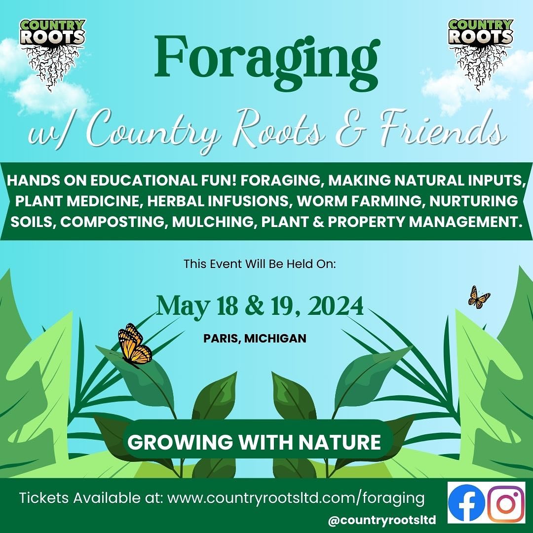 Foraging with Country Roots & Friends
