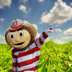 Ohio Cannabis
